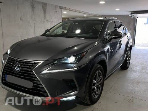 Lexus NX Executive