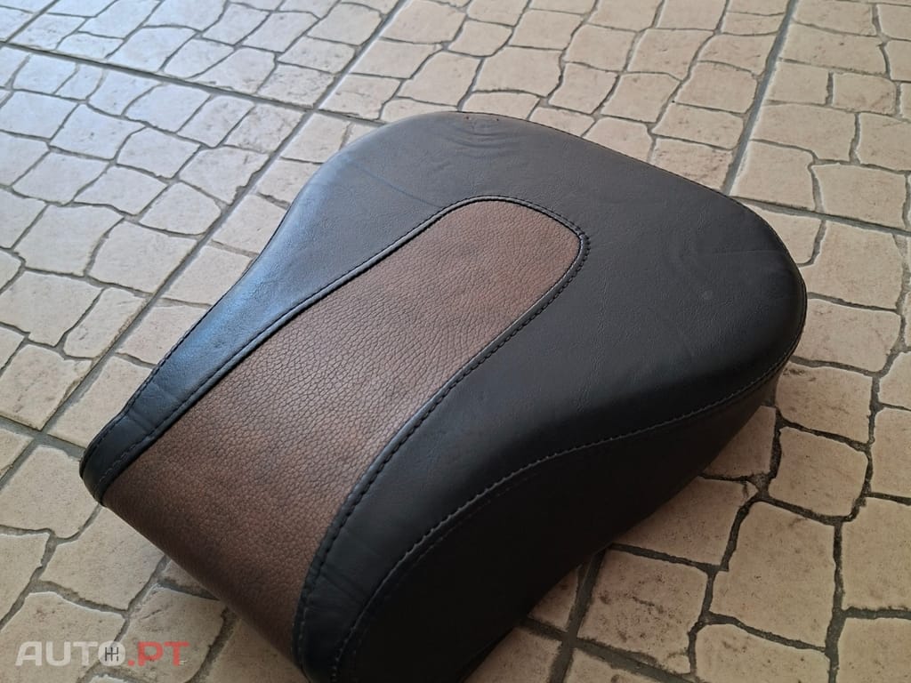 Harley Davidson Heritage FLSTC