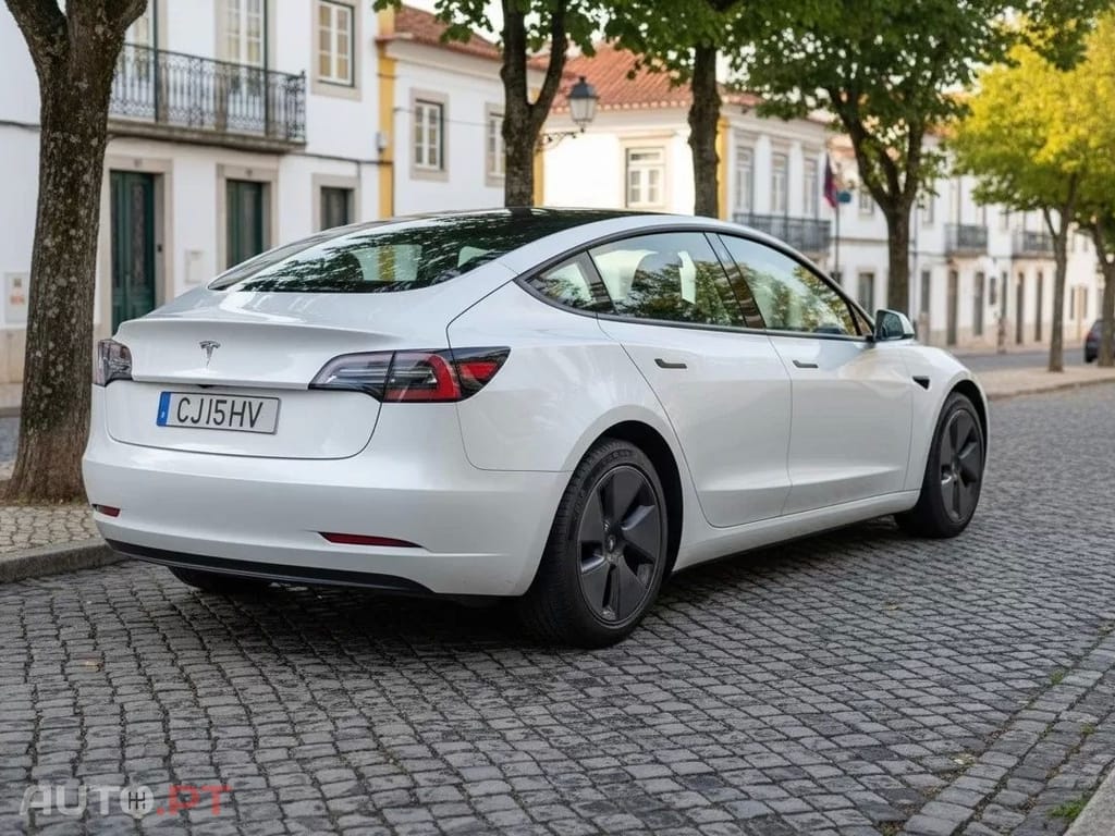 Tesla Model 3 Standard RWD