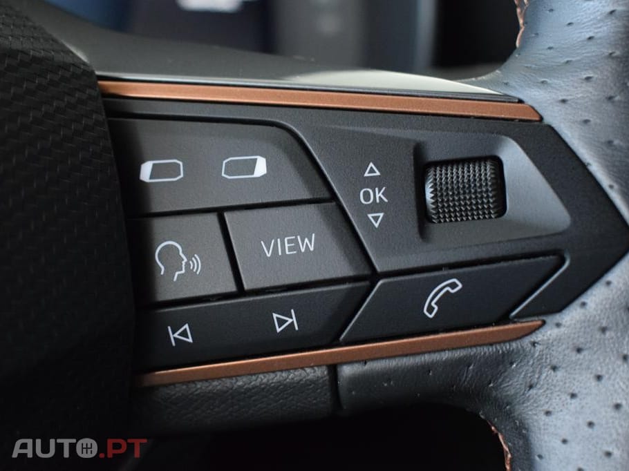 Cupra Formentor 2.0 TDI Sport