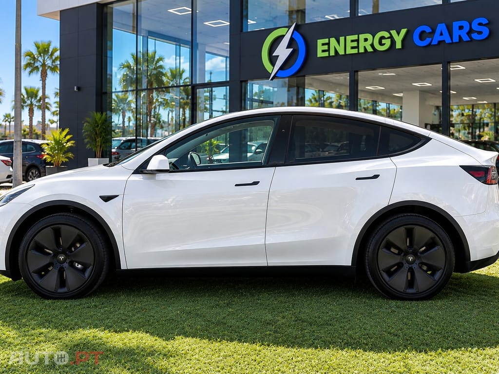 Tesla Model Y Long Range Tração Integral