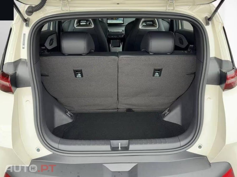 BYD Dolphin Surf Active