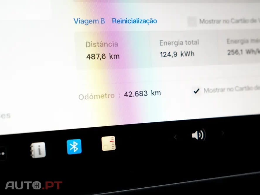 Tesla Model Y Performance Dual Motor AWD