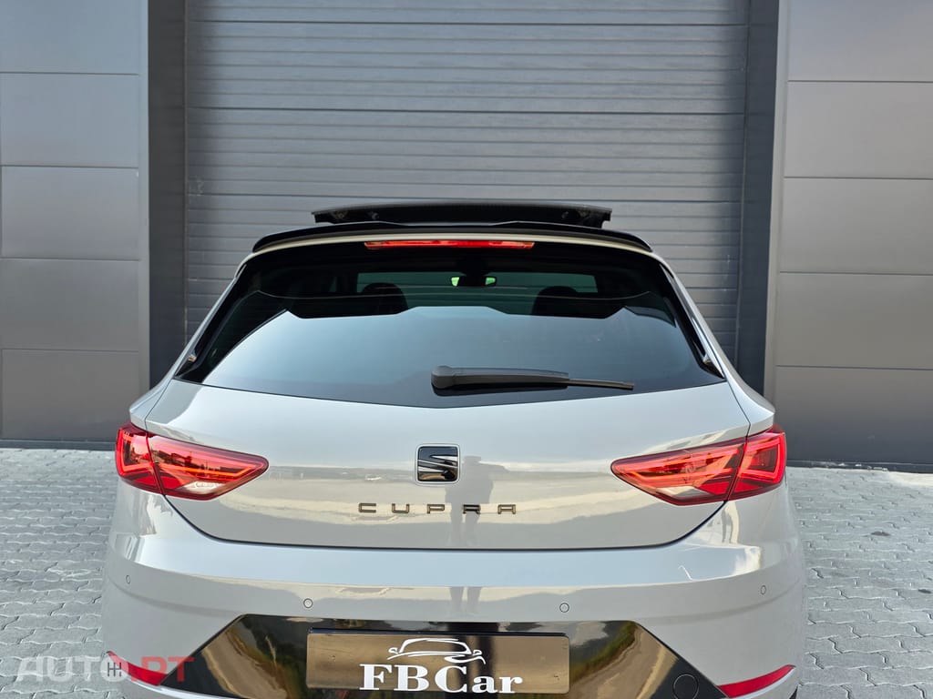 Seat Leon Cupra 290