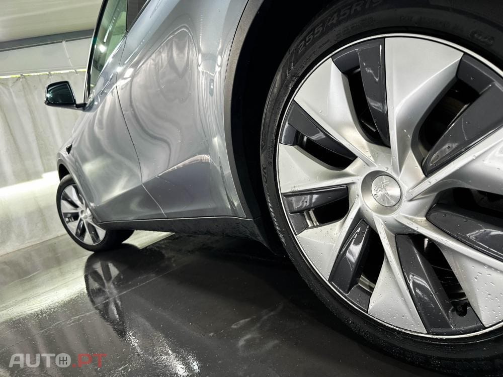 Tesla Model Y Standard