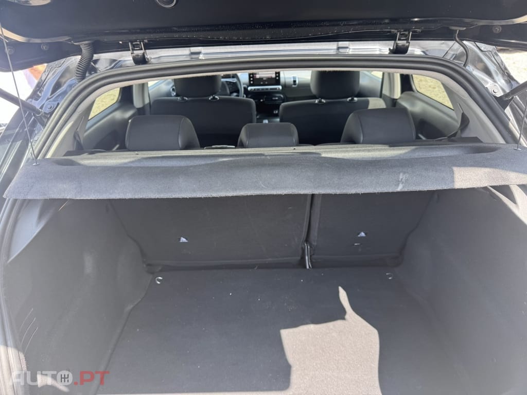 Citroen C4 Cactus BlueHDi 100 Stop&Start Feel Edition