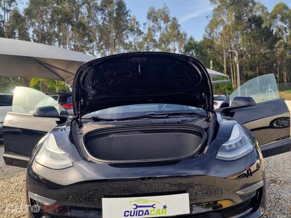 Tesla Model 3 PERFORMANCE