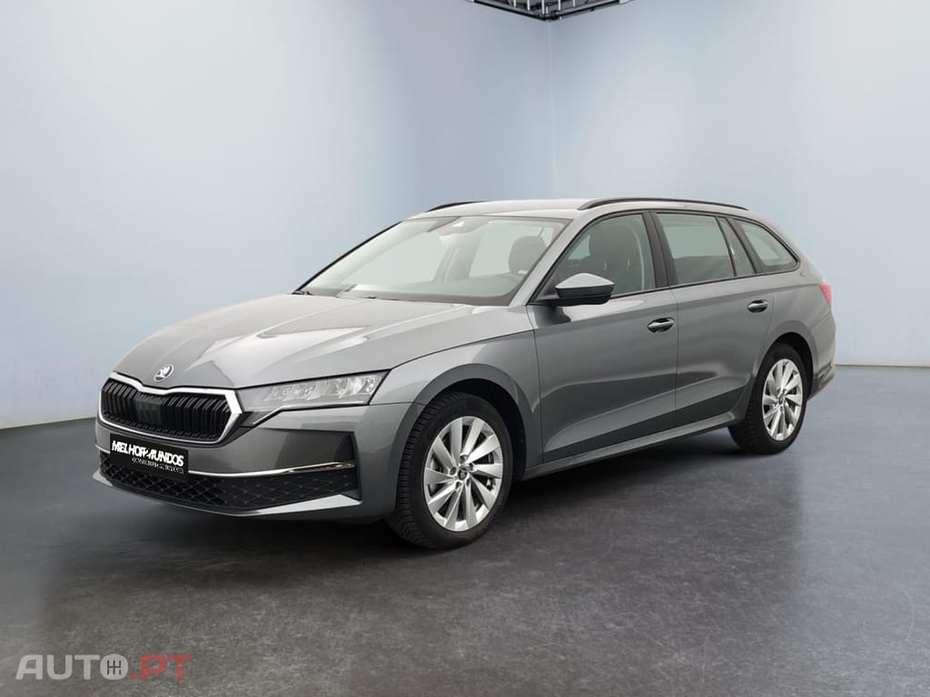 Skoda Octavia Break 2.0 TDI Selection DSG