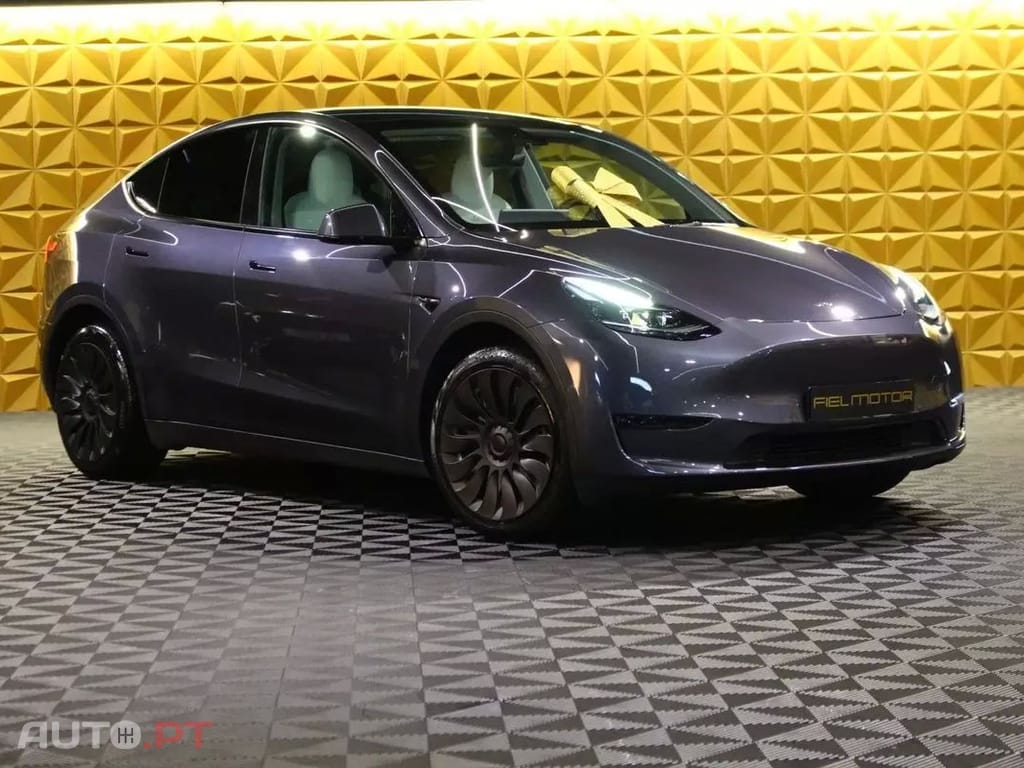 Tesla Model Y Long Range Tração Integral