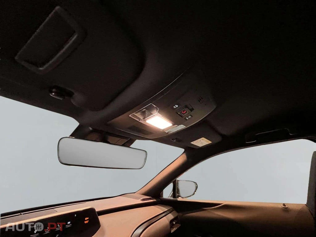 Lexus UX Business