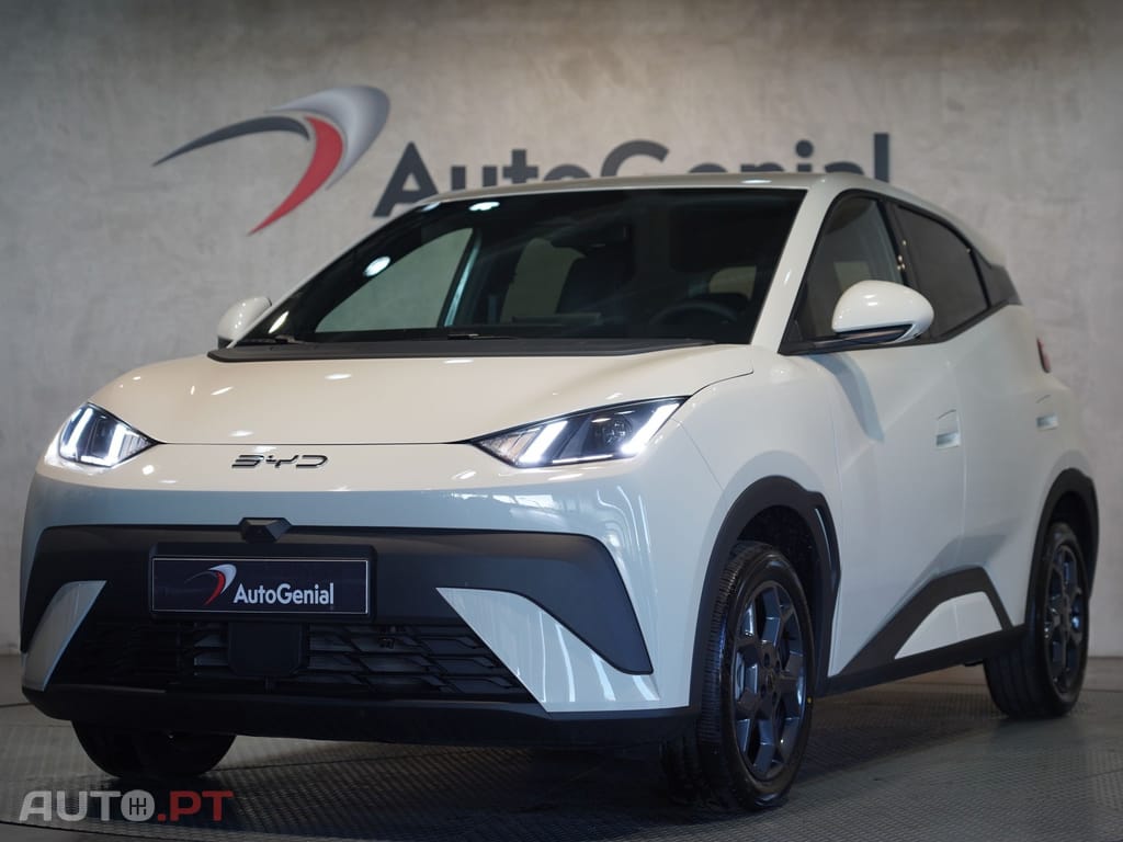 BYD Dolphin Surf 43.2 kWh Comfort