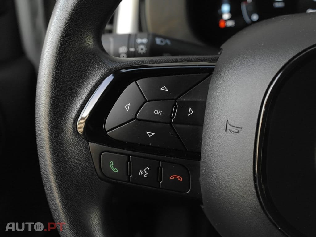 Fiat Panda Pandina 1.0 Hybrid — fotografia 28