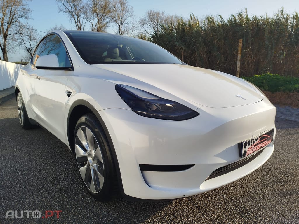 Tesla Model Y RWD