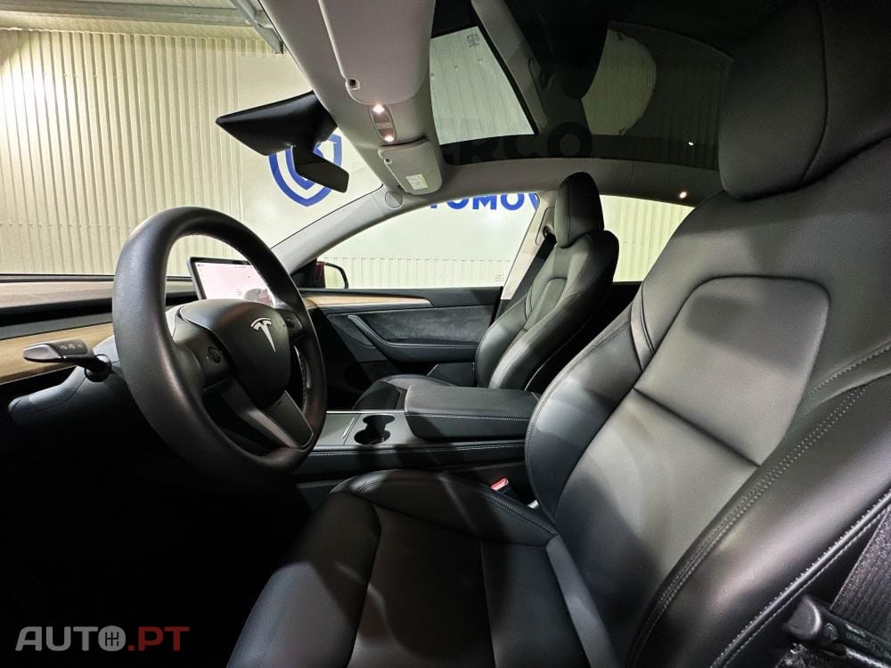 Tesla Model Y Standard