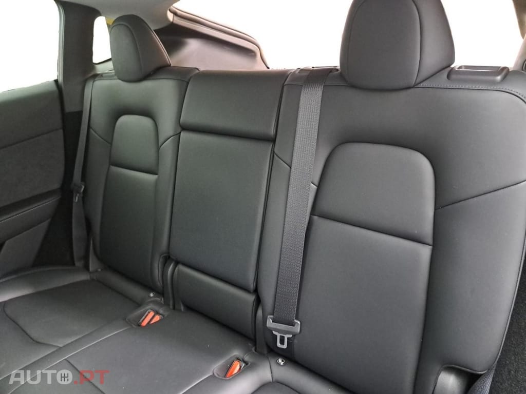 Tesla Model Y Standard RWD