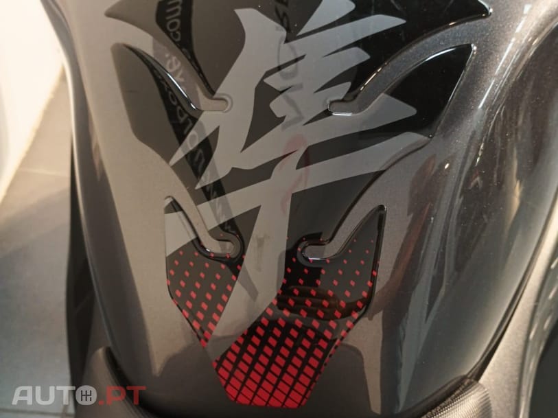 Suzuki Hayabusa GSX-R 1300