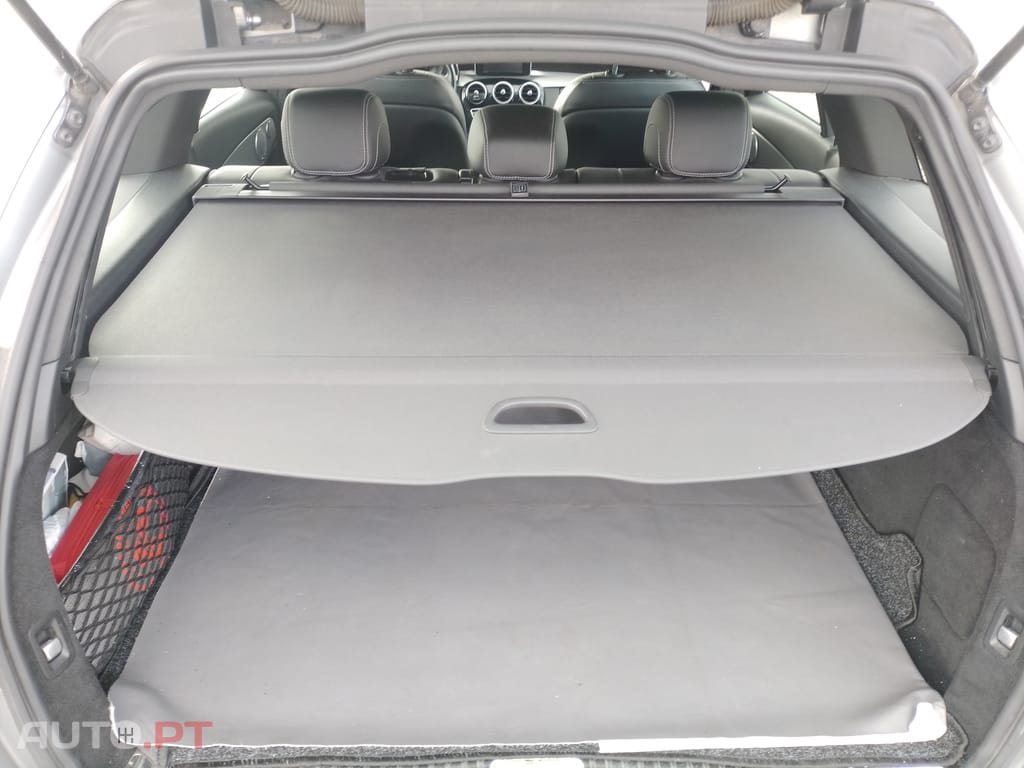 Mercedes-Benz C 300 Bluetec Hybrid