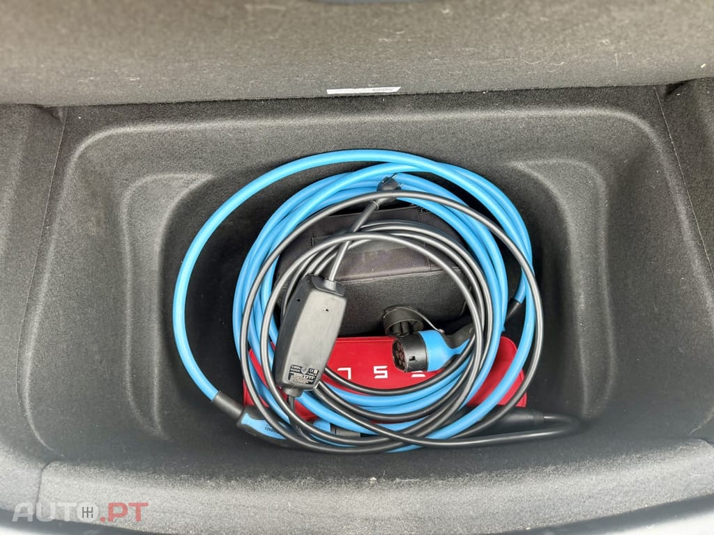 Tesla Model Y Standard