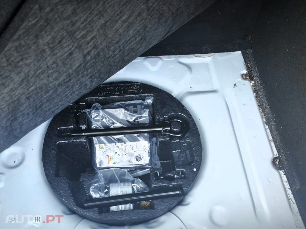 Renault Zoe 52KWh R110 - Bateria Própria