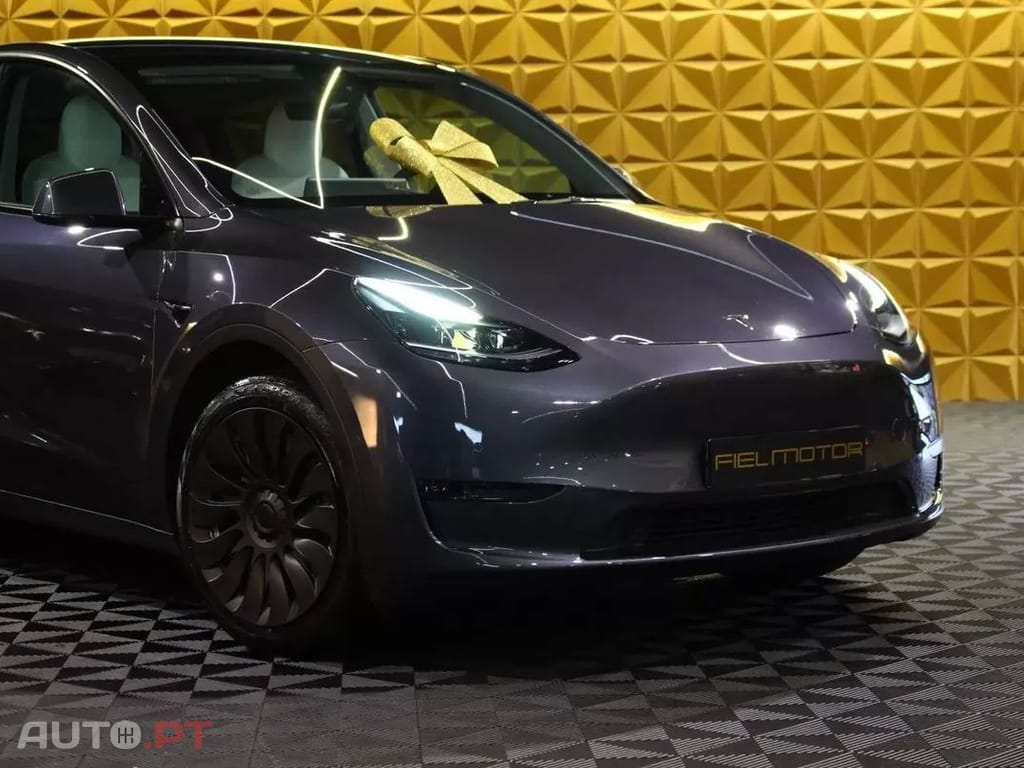 Tesla Model Y Long Range Tração Integral