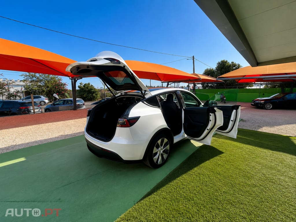 Tesla Model Y Standard