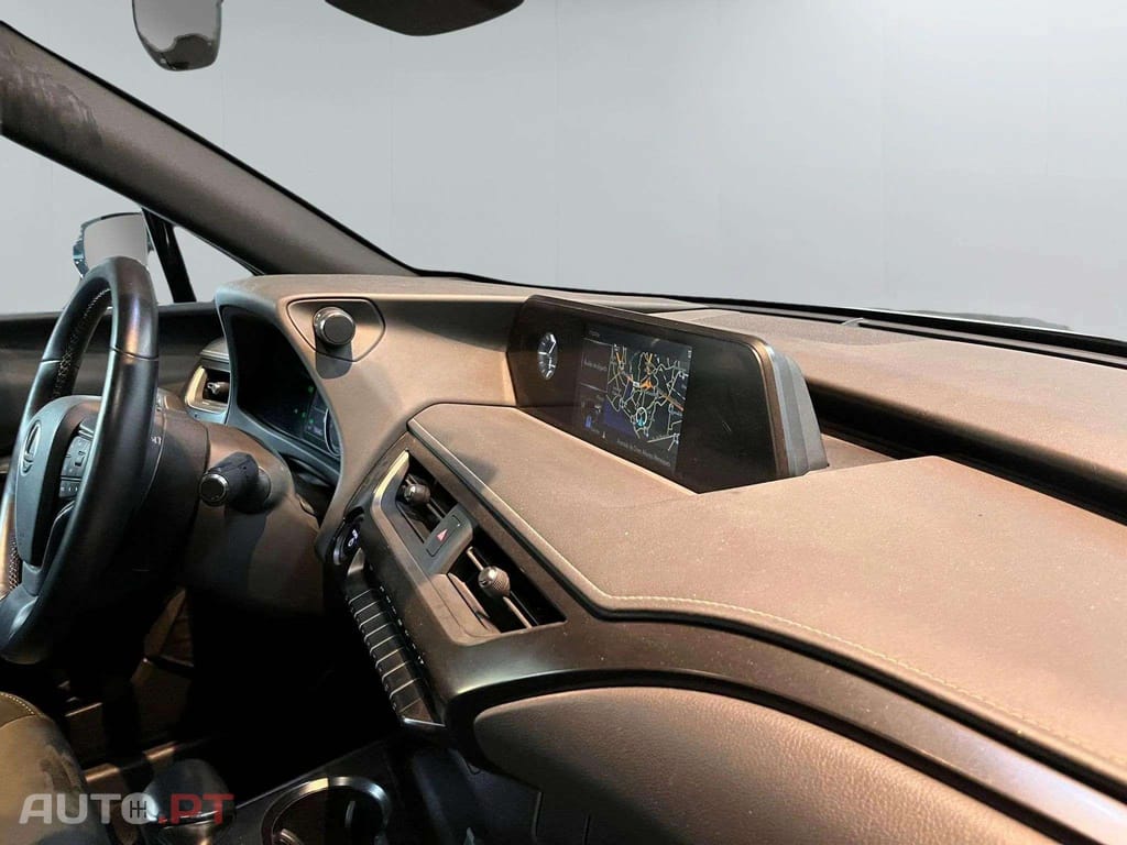 Lexus UX Business