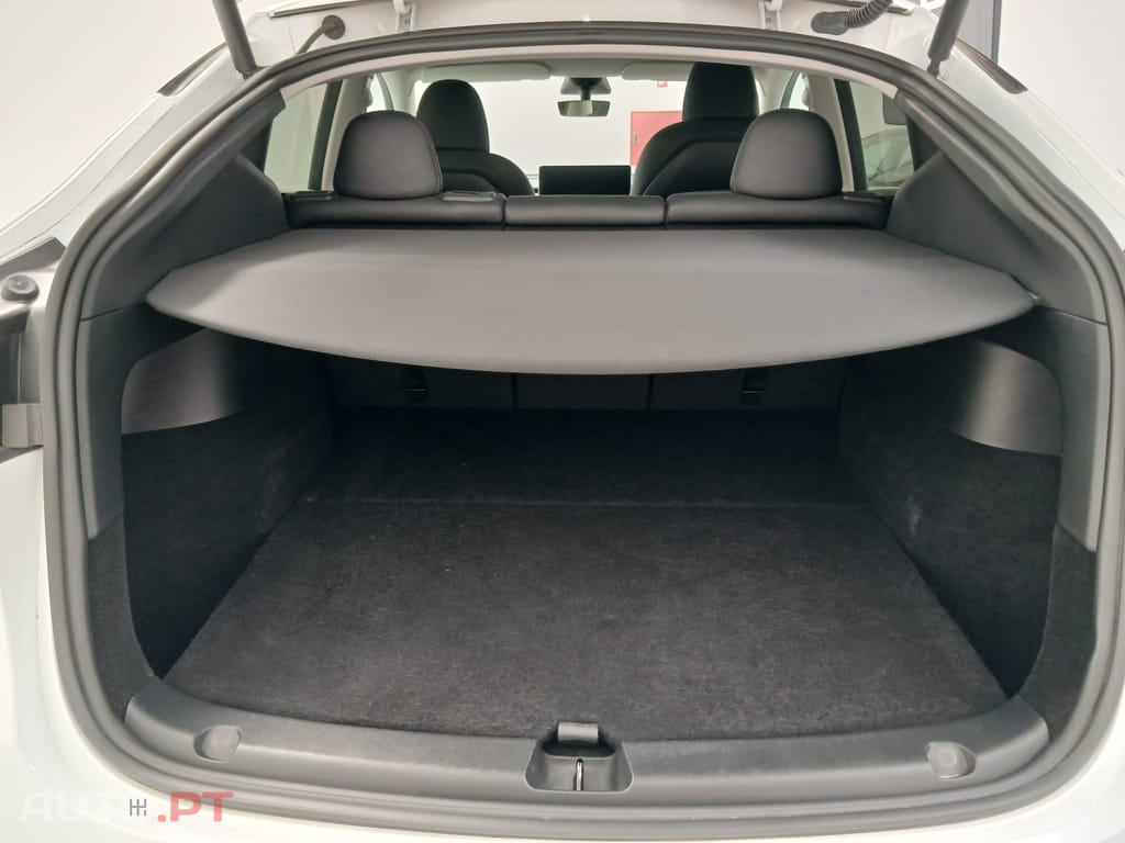 Tesla Model Y Standard