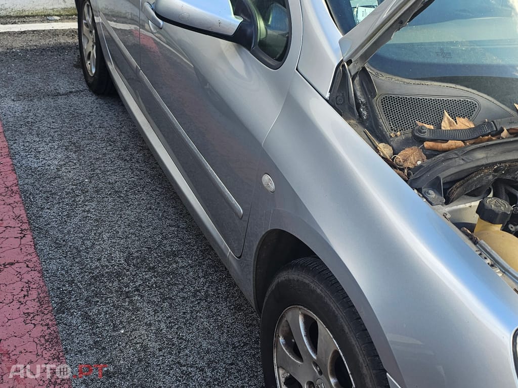 Peugeot 307 XS Premium