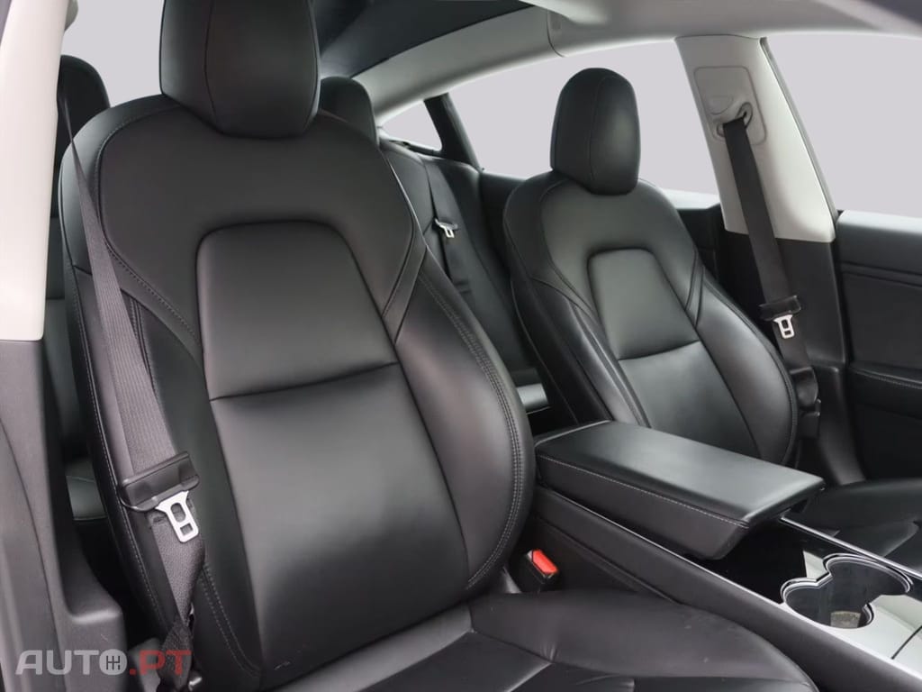 Tesla Model 3 Standard RWD Plus 91%