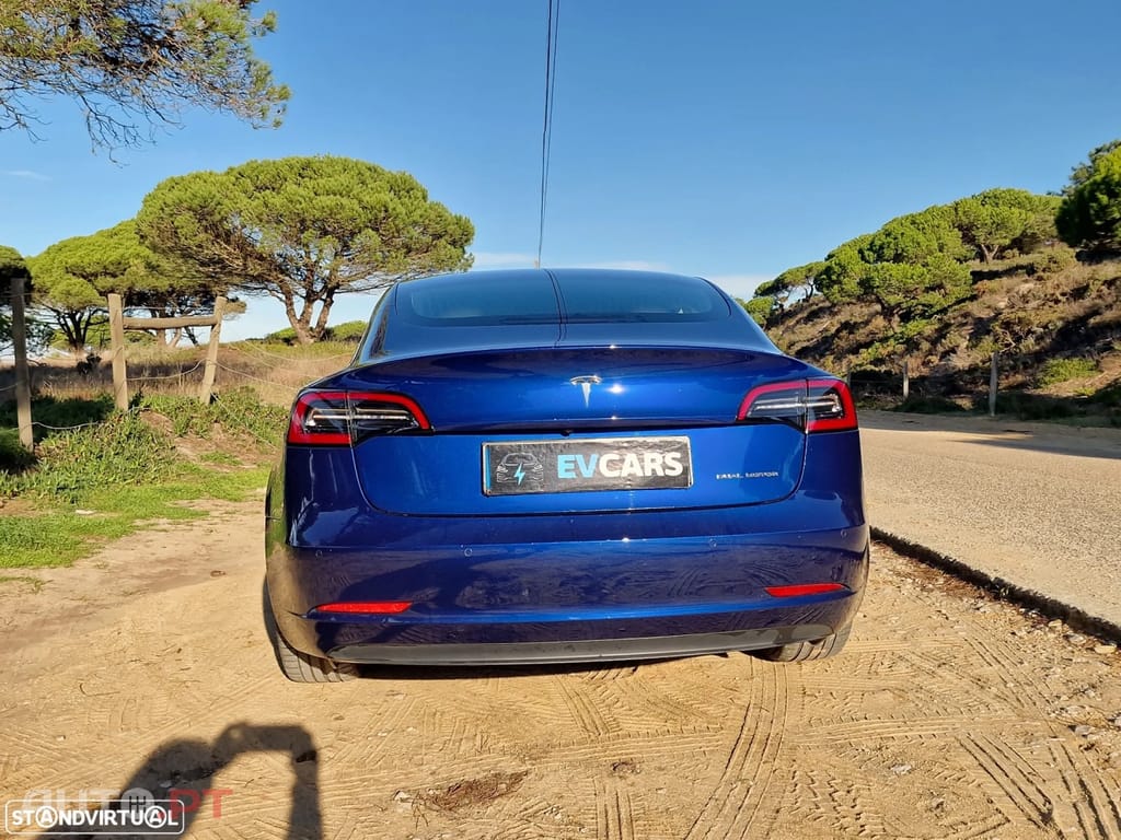 Tesla Model 3 AWD Dual Motor Performance