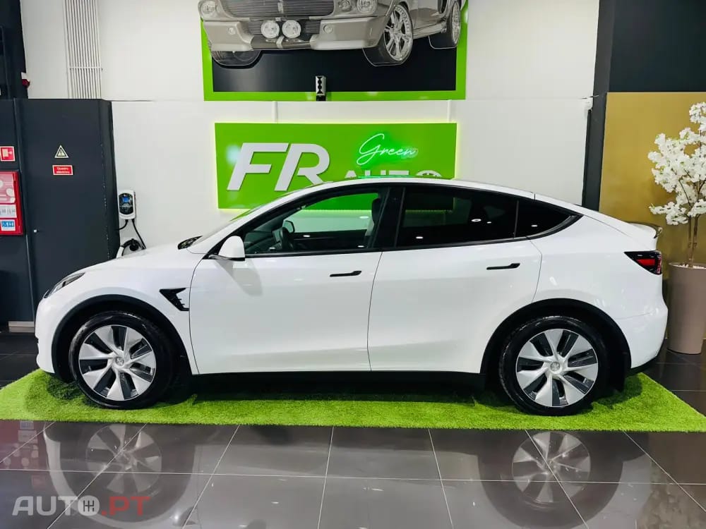 Tesla Model Y Standard
