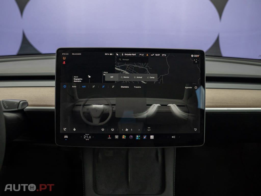 Tesla Model 3 Performance Dual Motor AWD