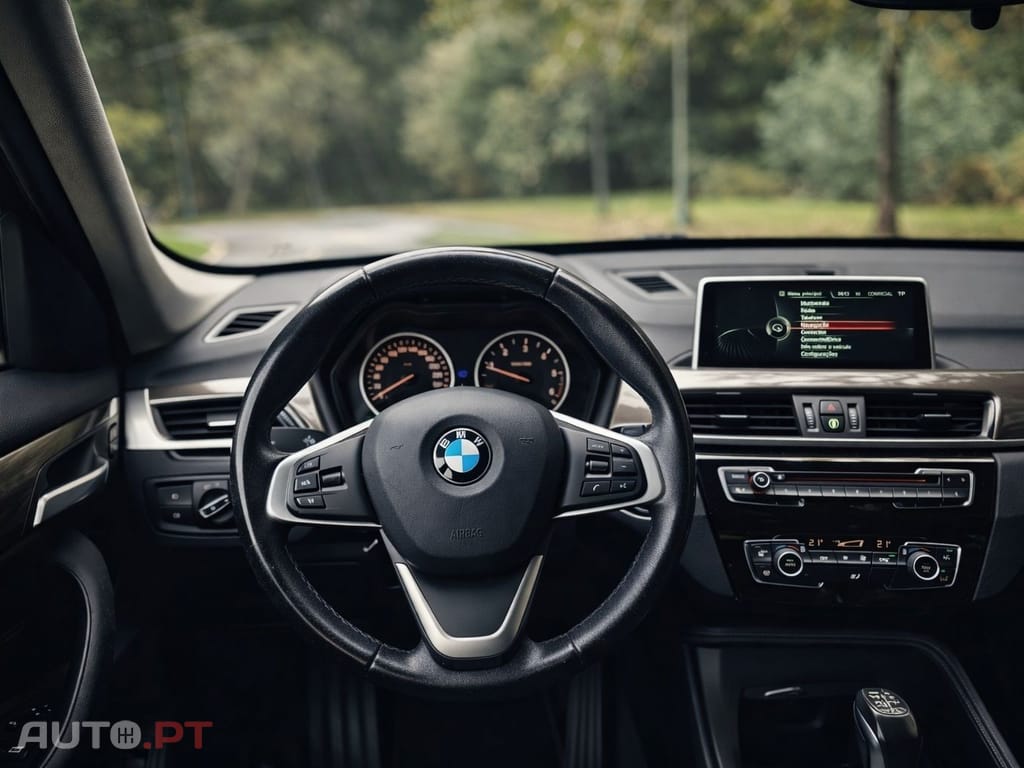 BMW X1 xDrive25d Aut. Sport Line