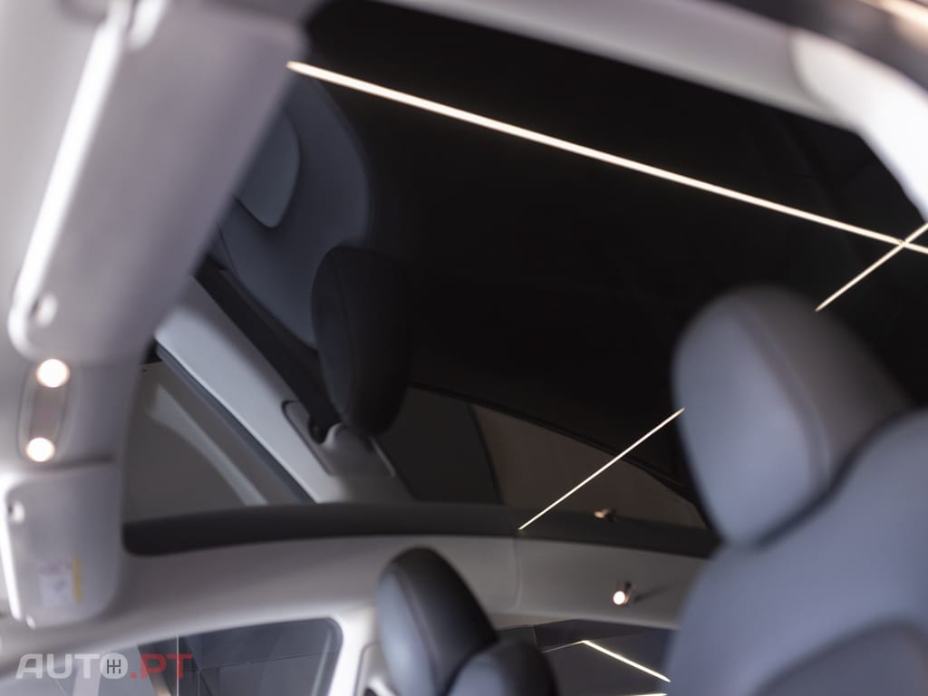 Tesla Model Y Standard