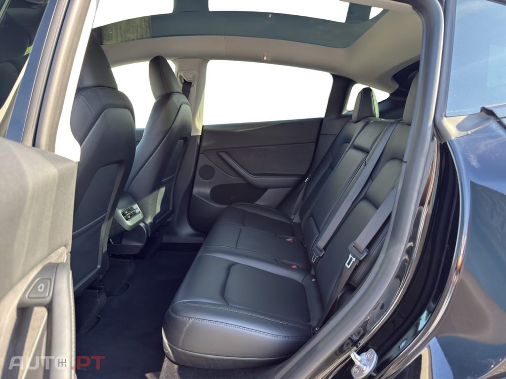 Tesla Model Y Standard RWD