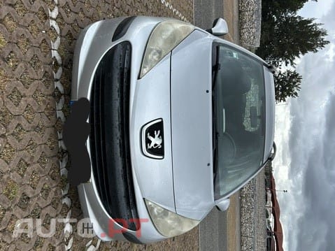 Peugeot 207 SW TRENDY 1