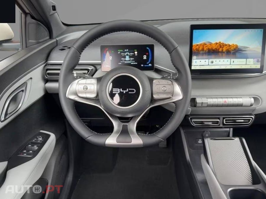 BYD Dolphin Surf Active