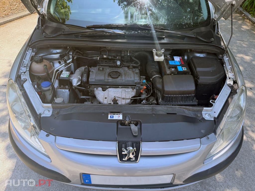Peugeot 307 BREAK 1.4 GASOLINA A/C