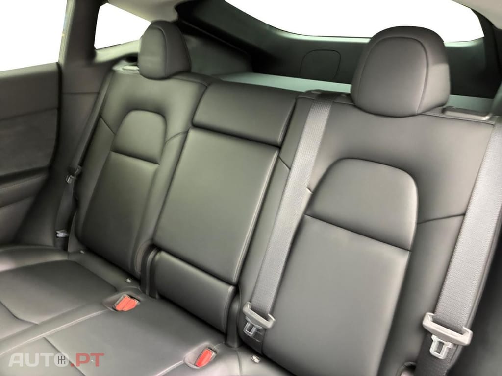 Tesla Model Y Standard RWD