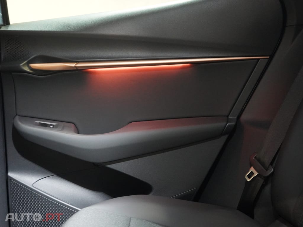 Cupra Tavascan 77 kWh Endurance