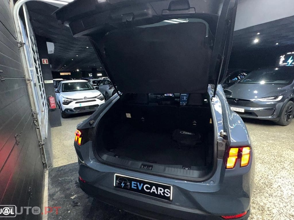 Ford Mustang Mach-E Standard