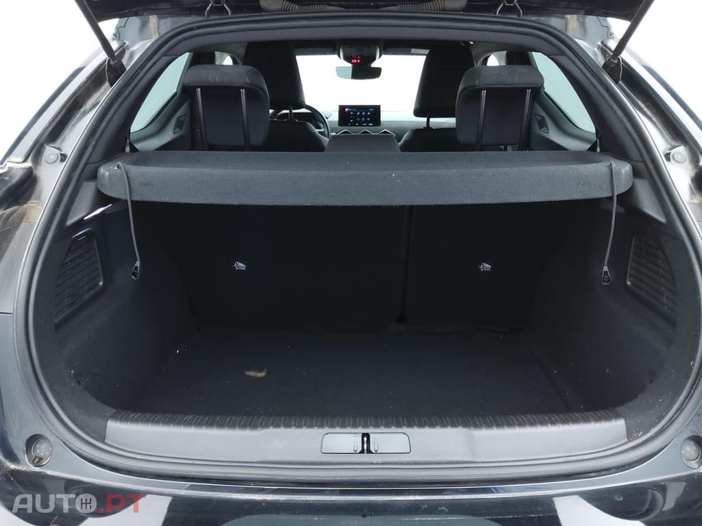 DS DS3 Crossback E-Tense Performance Line