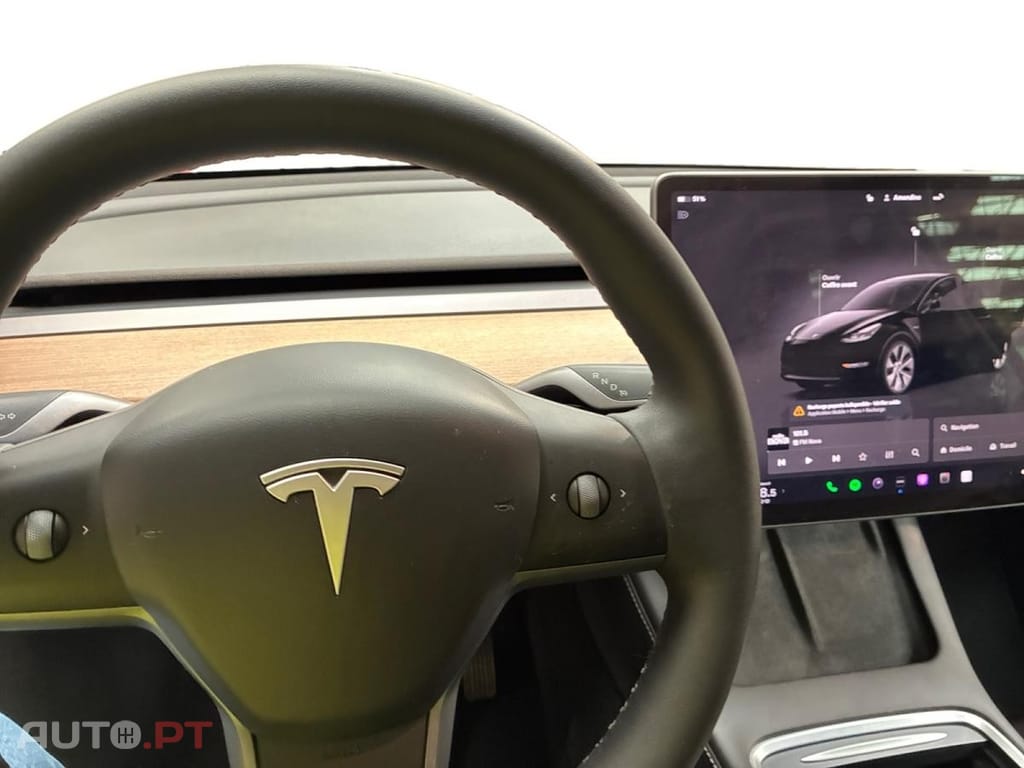 Tesla Model Y Standard RWD