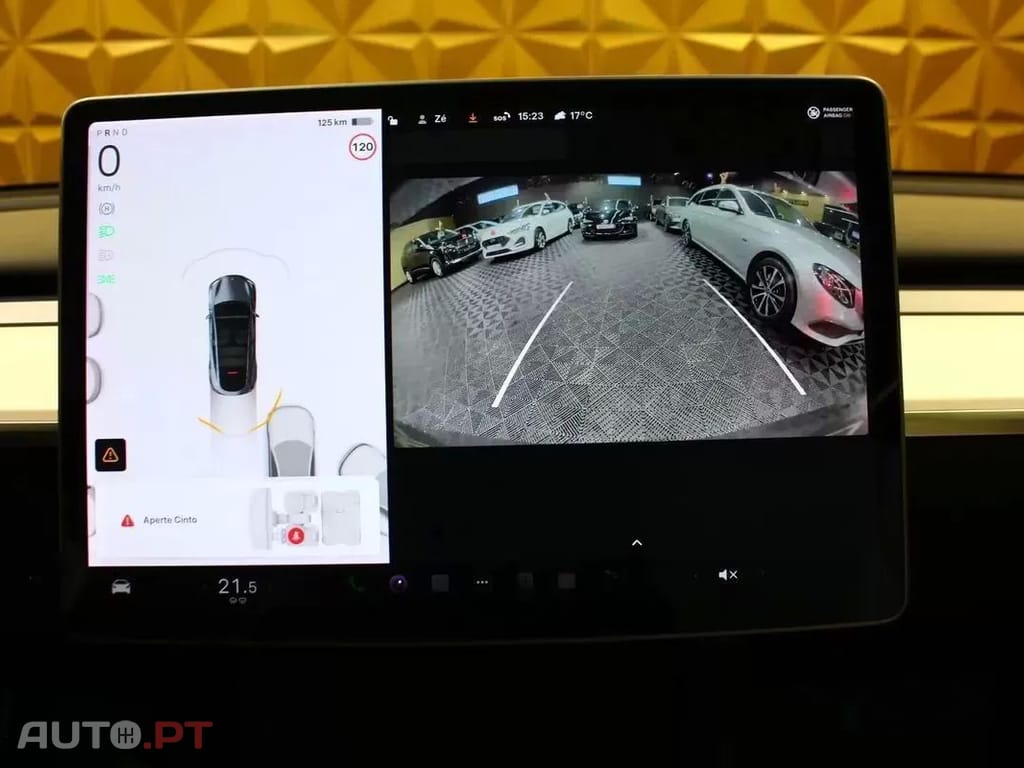 Tesla Model Y Long Range Tração Integral