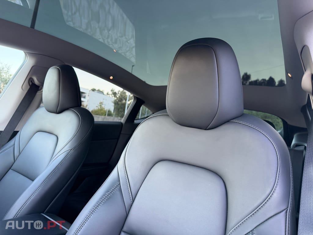 Tesla Model Y RWD