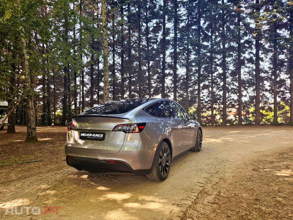 Tesla Model Y Performance Dual Motor AWD
