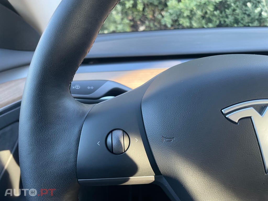 Tesla Model 3 Standard RWD Plus