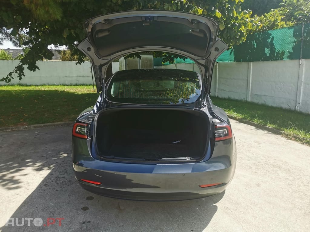 Tesla Model 3 Long Range RWD Business
