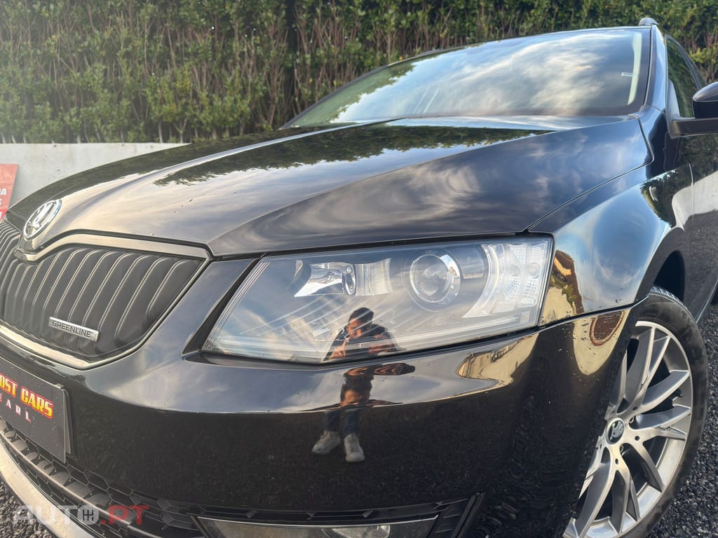 Skoda Octavia Break 1.6 TDi Greenline