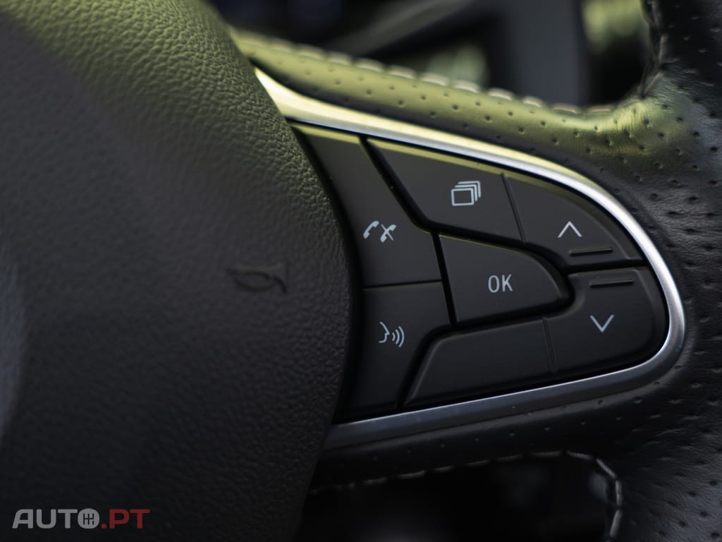 Renault Mégane TCe 300 GPF EDC R.S. TROPHY